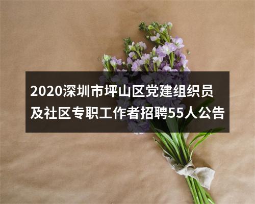 2020深圳市坪山区党建组织员及社区专职工作者招聘55人公告 图片