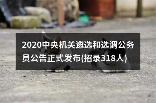 2020中央机关遴选和选调公务员公告正式发布(招录318人) 图片