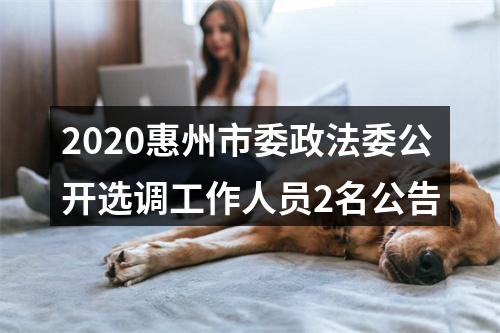 2020惠州市委政法委公开选调工作人员2名公告 图片