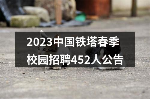 2023中国铁塔春季校园招聘452人公告 图片