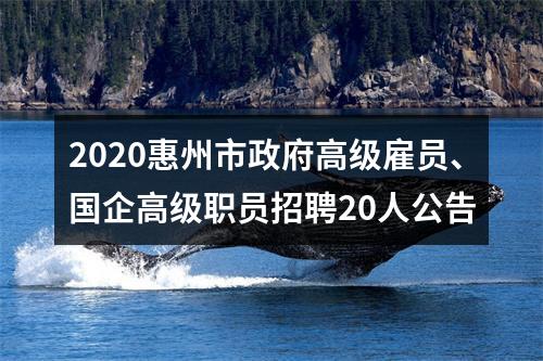 2020惠州市政府高级雇员、国企高级职员招聘20人公告 图片