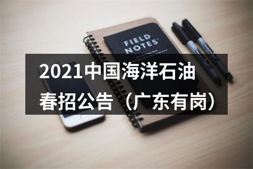 2021中国海洋石油春招公告（广东有岗） 图片